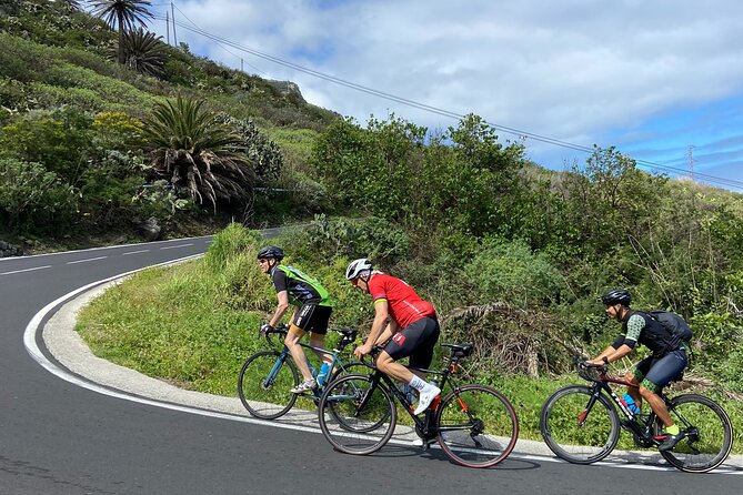 1/2 day guided roadbike tour - Tenerife road biking from Puerto de la Cruz: the smart start