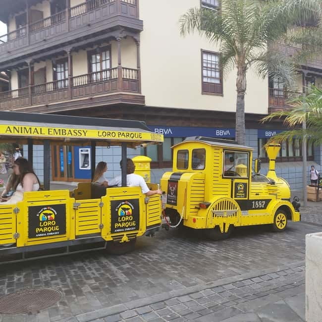 1-2 hour walking route through Puerto de la Cruz, Tenerife - Why this Puerto de la Cruz coast walk is such good value