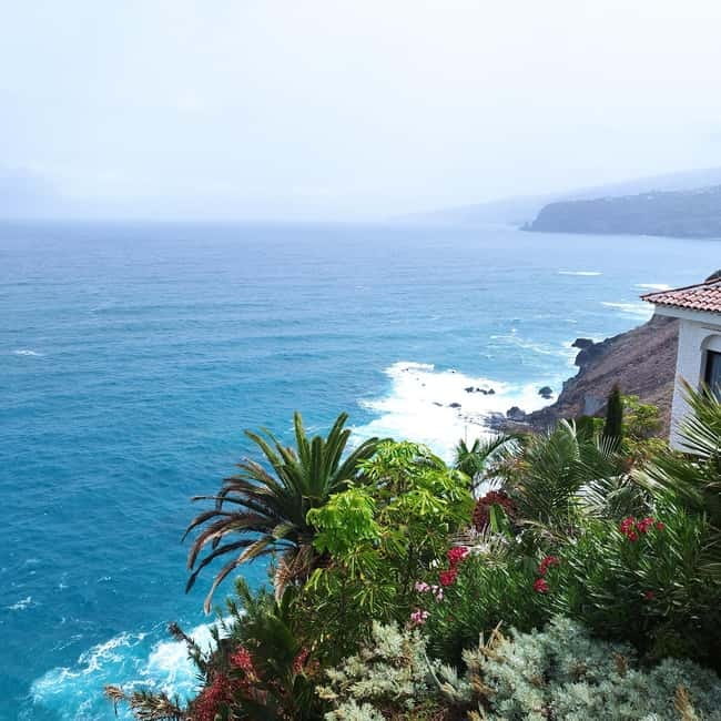 1-2 hour walking route through Puerto de la Cruz, Tenerife - Price and logistics: simple, short, and easy to fit in