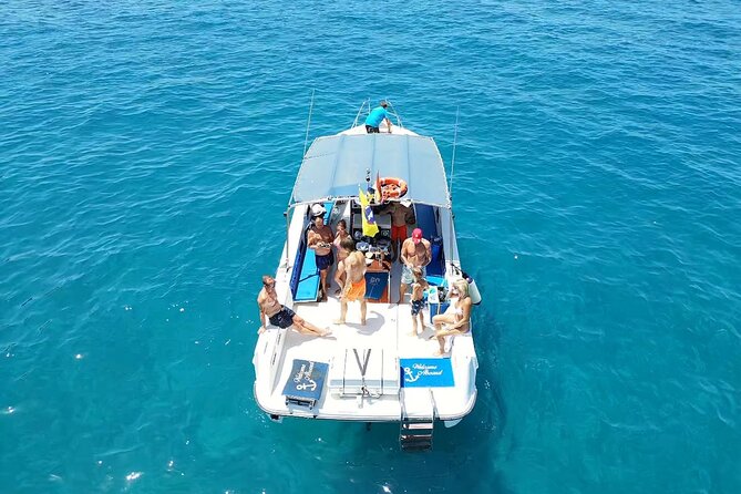 2 hour trip to see whales dolphins puerto colon adeje - Key things that make this Tenerife whale and dolphin trip worth your time
