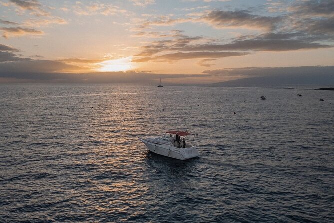 2 Hour VIP Private Luxury Sunset Boat Charter in Tenerife - Key things to know before you go