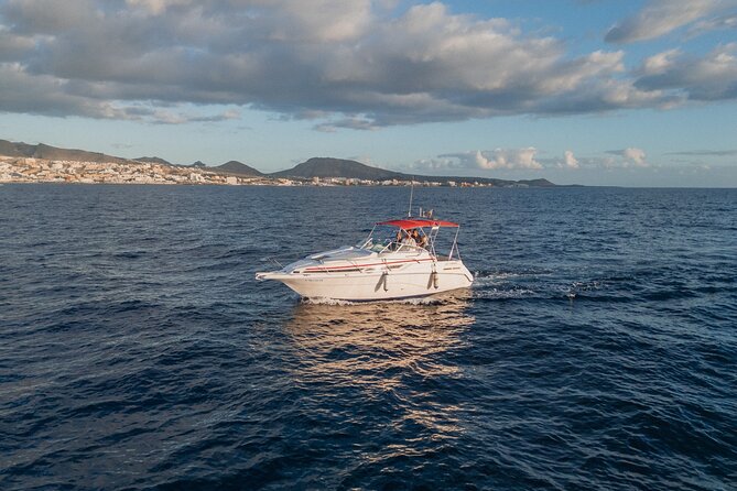 2 Hour VIP Private Luxury Sunset Boat Charter in Tenerife - Who should book this Tenerife charter
