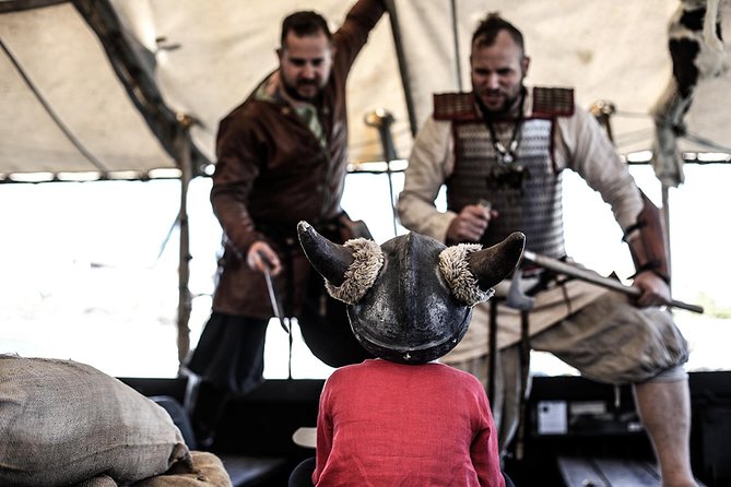 2h Viking Cruise Whales & Dolphins Watching - What the Vikings Actually Add: Face Painting and On-Board Character