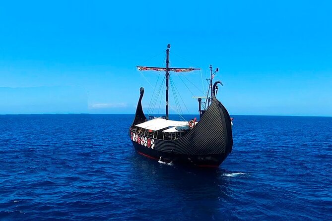 2h Viking Cruise Whales & Dolphins Watching - Price and Value: Is $24.19 Worth It?