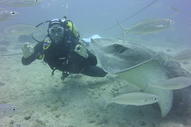 2x diving package, on request including refreshment - A Typical Day Schedule, Without the Guesswork
