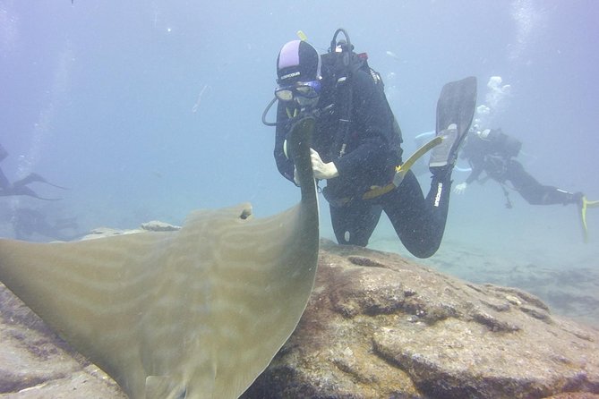 2x diving package, on request including refreshment - The People Factor: Small Groups and Instructor Attention