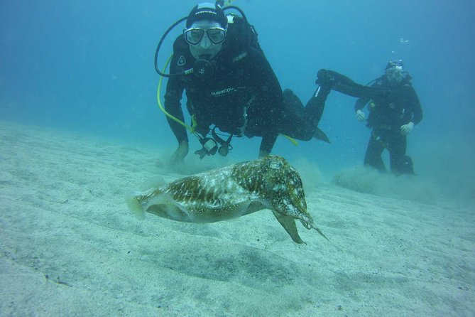 2x diving package, on request including refreshment - Before You Go In: Gear Fitting and a Real Plan With Your Instructor
