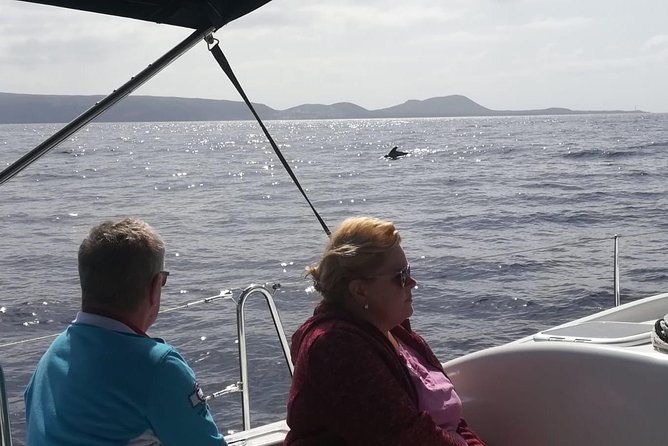 3-Hour Boat Trip from Costa Adeje in Tenerife - Stop 1 at Costa Adeje: Board Seaquestff and Set Your Expectations