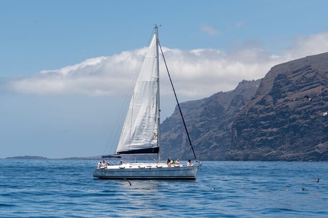 3-Hour Cetacean Watching and Snorkeling Tour in Tenerife - Where the Sailboat Leaves From: Port of Los Gigantes