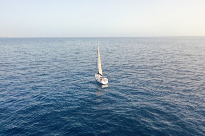 3-Hour Cetacean Watching and Snorkeling Tour in Tenerife - Masca Bath and Snorkel: Your About-One-Hour Water Break