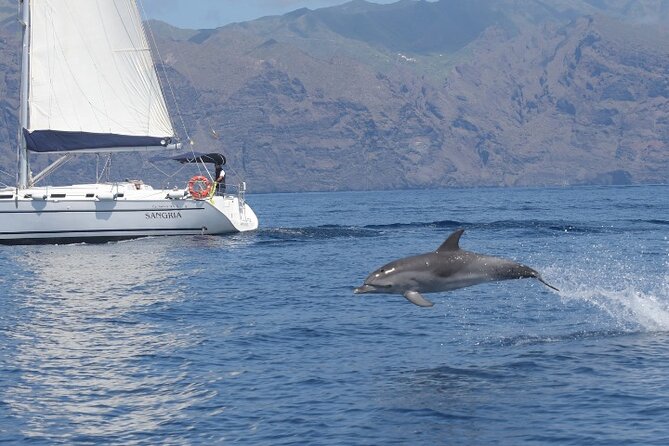3-Hour Cetacean Watching and Snorkeling Tour in Tenerife - The Sangria Boat Experience, Blue Dream Sailing Style