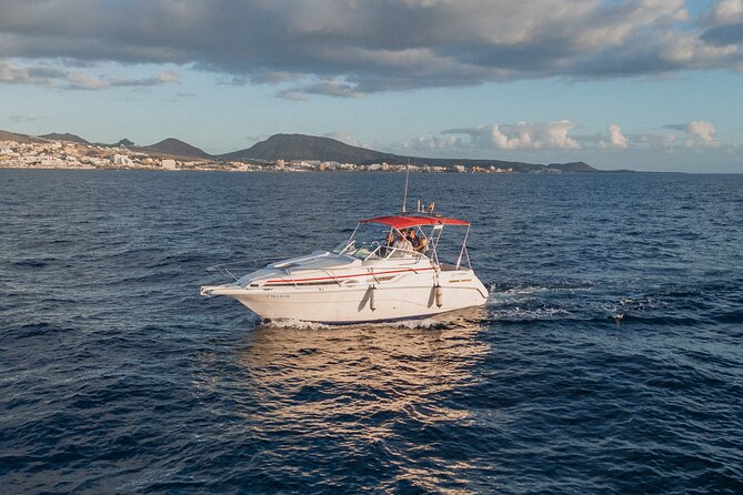 3 Hour VIP Private Luxury Boat Charter in Tenerife - Price and value: $540.63 per group for up to 6