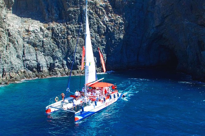 3-hour Whale and Dolphin Watching and Listening Tour - Key Things I’d Focus On