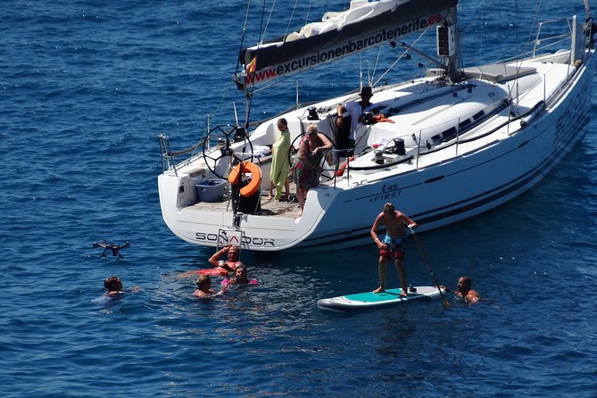 3 Hours All Inclusive Whale and Dolphin Whatching Yacht Trip - Price and What Makes It Feel Like Good Value