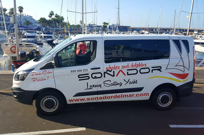 3 Hours All Inclusive Whale and Dolphin Whatching Yacht Trip - The Tenerife Views You Came For: Los Gigantes and Masca