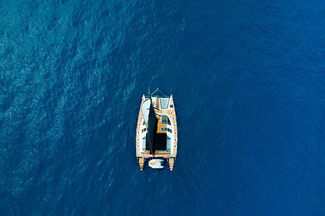 3 hrs. Whale Watching and Relaxing Chill Out Catamaran with glass floor - Where the trip starts in Tenerife: Puerto Colón and easy boarding