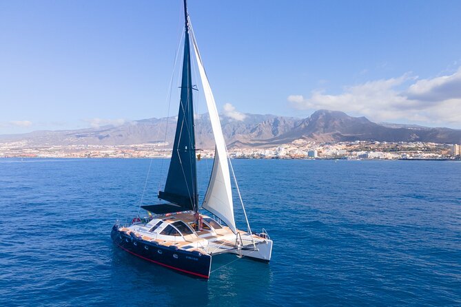 3 hrs. Whale Watching and Relaxing Chill Out Catamaran with glass floor - Lunch, shaded seating, and unlimited drinks that make the day feel like a treat