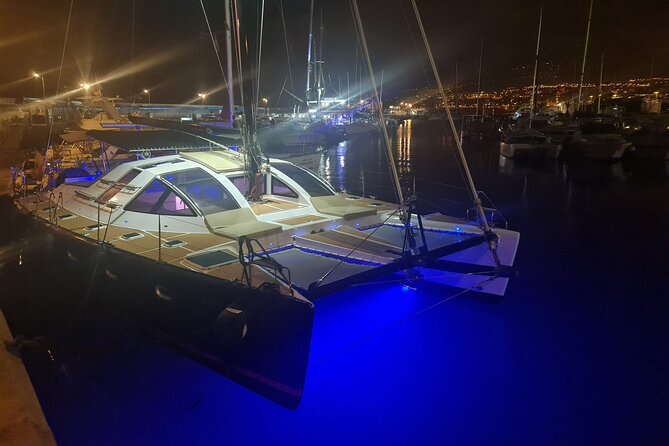 3 hrs. Whale Watching and Relaxing Chill Out Catamaran with glass floor - Weather, sea conditions, and your best day planning tips