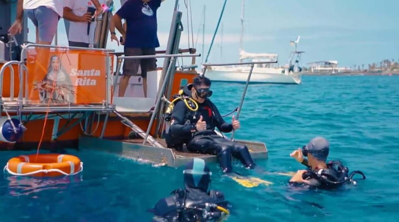 3H Shared Barrier-Free Cruise with Turtles Dolphins & Whales - Key things to know before you go