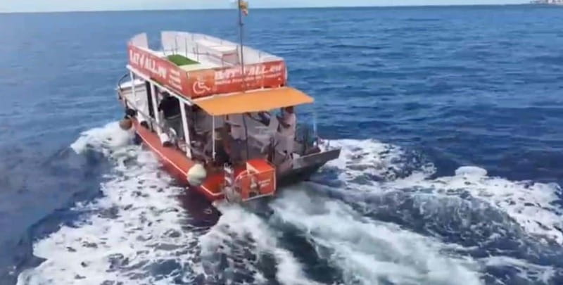 3H Shared Barrier-Free Cruise with Turtles Dolphins & Whales - FAQ