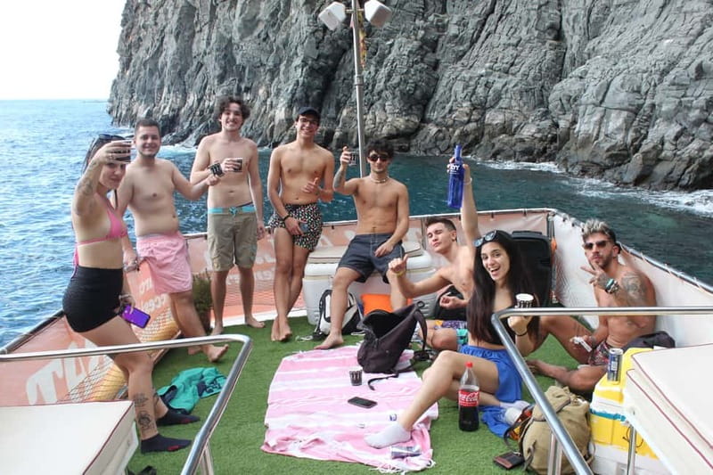 3H Shared Barrier-Free Cruise with Turtles Dolphins & Whales - Should you book this Tenerife turtles, dolphins, and whales cruise?