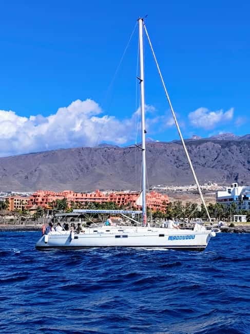 3h Whale Watching Private tour Beneteau Oceanis 440 - The secret stop: short and focused whale-and-dolphin time