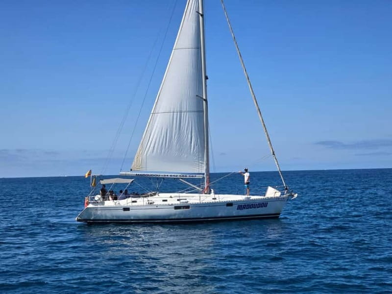 3h Whale Watching Share Tour Beneteau Oceanis 440 - Key Things You’ll Notice on Madoudou