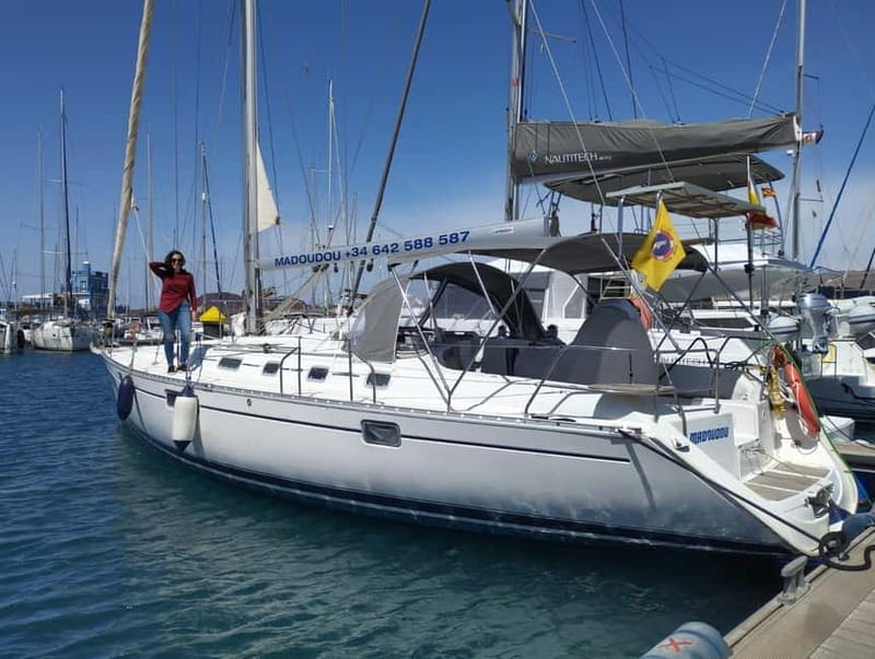 3h Whale Watching Share Tour Beneteau Oceanis 440 - Should you book Madoudou’s 3-hour whale watching share tour?