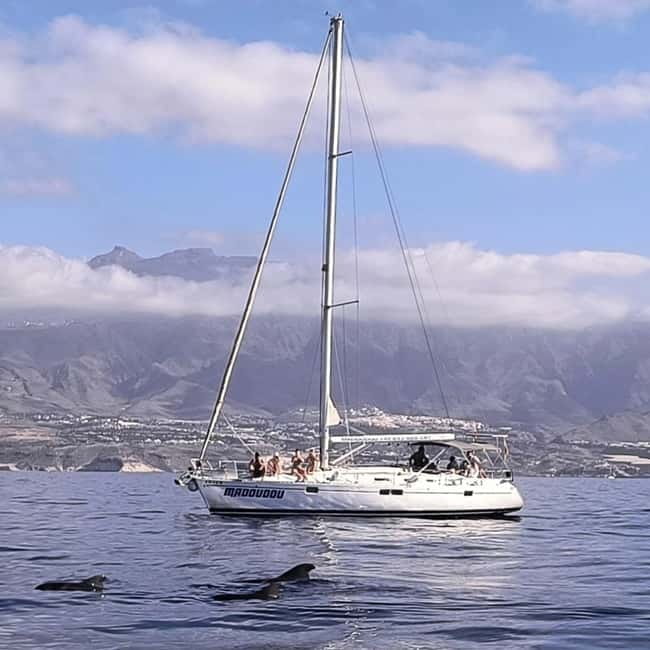 3h Whale Watching Share Tour Beneteau Oceanis 440 - Madoudou Oceanis 440: what a “small share” really feels like