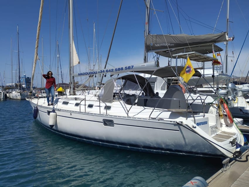 3h Whale Watching Share Tour Beneteau Oceanis 440 - Value and price: why $63 can be fair for a 3-hour wildlife sail
