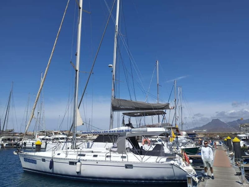 3h Whale Watching Share Tour Beneteau Oceanis 440 - Practical tips before you go