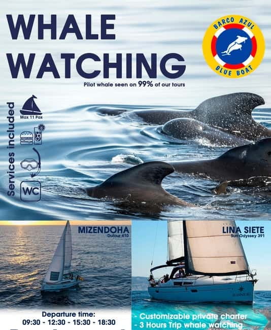 3h Whale watching Share Tour Costa Adeje Lina7 Mizendoha - Key points before you book