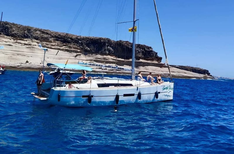 3h Whale watching Share Tour Costa Adeje Lina7 Mizendoha - Inside Lina7 or Mizendoha: comfort on a 12-meter boat