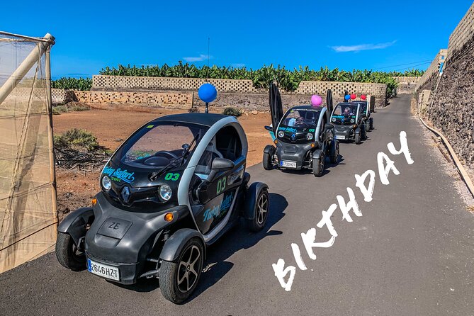 4 Hours Eco Safari Tour with Electric Car in Tenerife - Stop 2: Santiago del Teide village walk where life feels real