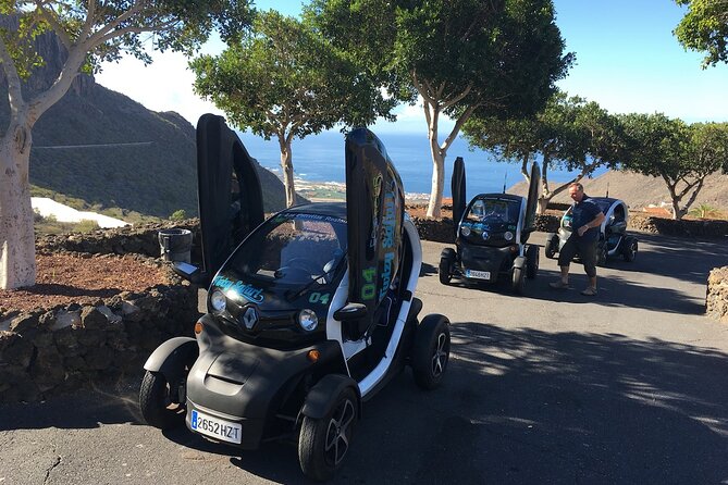 4 Hours Eco Safari Tour with Electric Car in Tenerife - Stop 3: Chio’s food crafts, mojo, chutneys, and tasting without pressure