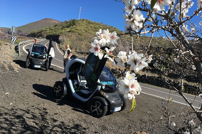 4 Hours Eco Safari Tour with Electric Car in Tenerife - The Twizy ride itself, easy driving, and handling range anxiety
