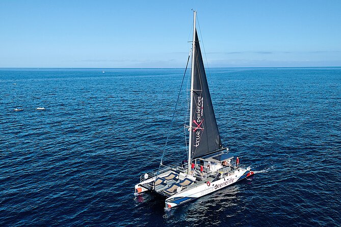 5 hr watching and listening whales and dolps. Visit Los Gigantes - Why Los Gigantes and Masca Pair Perfectly With Wildlife Watching