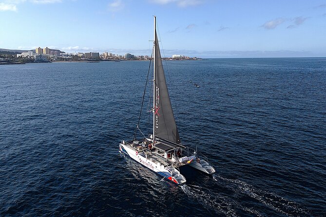 5 hr watching and listening whales and dolps. Visit Los Gigantes - The 5-Hour Catamaran Rhythm: What the Day Feels Like