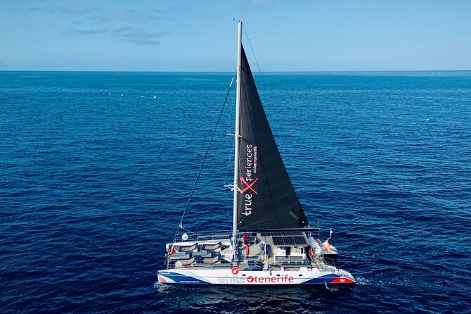 5 hr watching and listening whales and dolps. Visit Los Gigantes - Sailing Along Tenerife’s South Coast: The Scenic Bonus