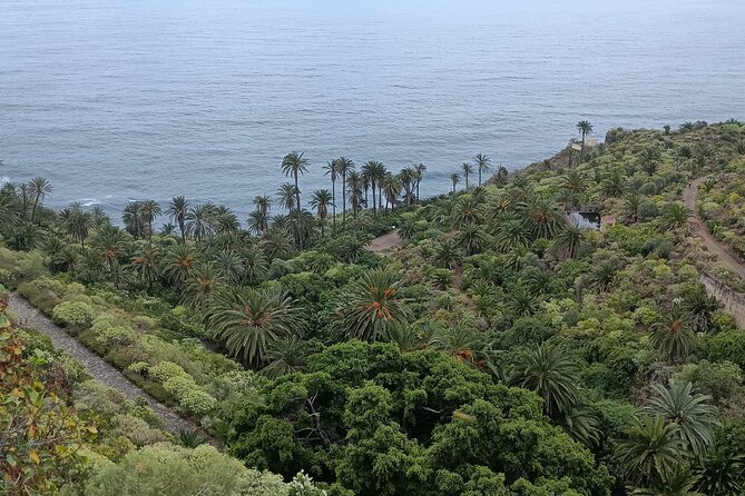 6hrs Private Tour in North Coast of Tenerife - Mesa del Mar and Playa La Arena de Tacoronte: Black Sand, Calm Water