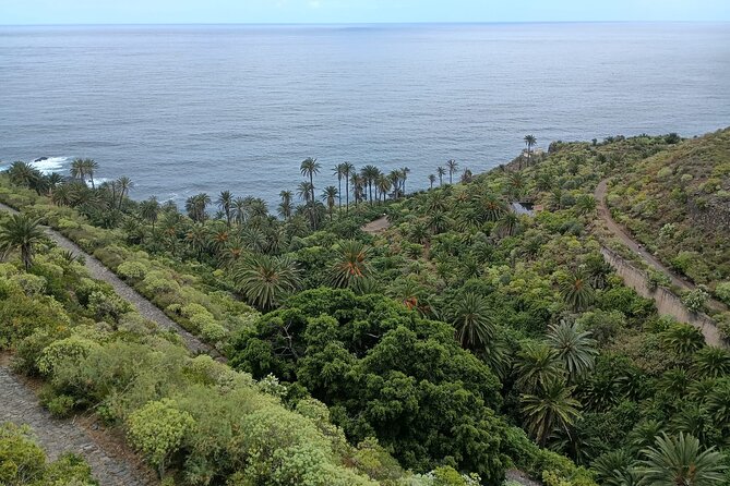 6hrs Private Tour in North Coast of Tenerife - Charco del Viento: Lava Arms Make a Protected Bay