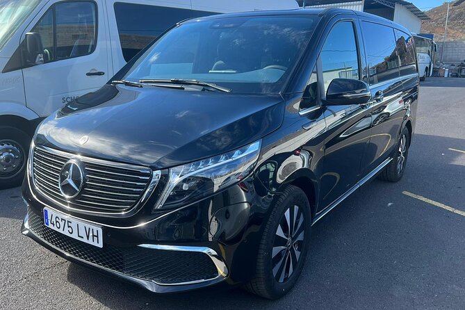 8-Hour Rental in a Luxury Car and Driver/Official Private Guide in Tenerife - Luxury car and driver/official private guide, what it really means