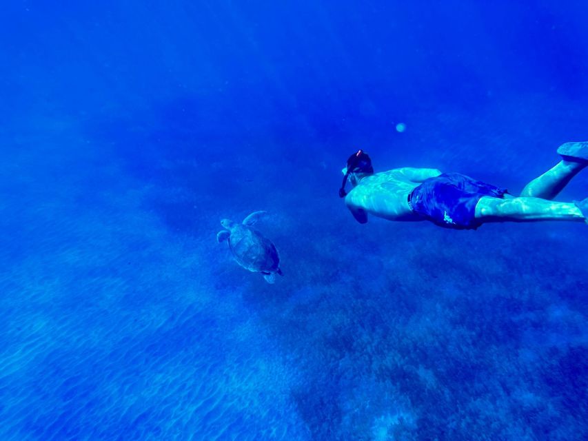 Abades: Guided Snorkeling Tour with Photos - Key highlights you should know