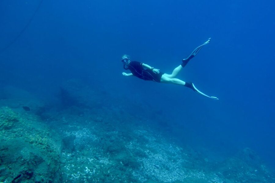 Abades: Guided Snorkeling Tour with Photos - Why Snorkel in Abades, Not Just Any Tenerife Beach