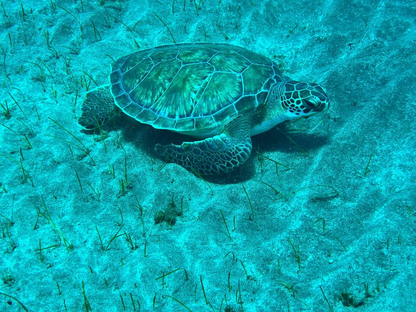 Abades: Guided Snorkeling Tour with Photos - Meeting Magilu, Getting Fitted, and Why the Small-Group Pace Matters