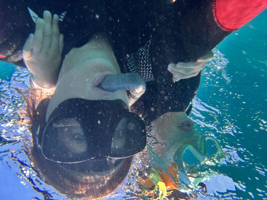 Abades: Guided Snorkeling Tour with Photos - Photos and Videos Included: How to Get the Best Results Underwater