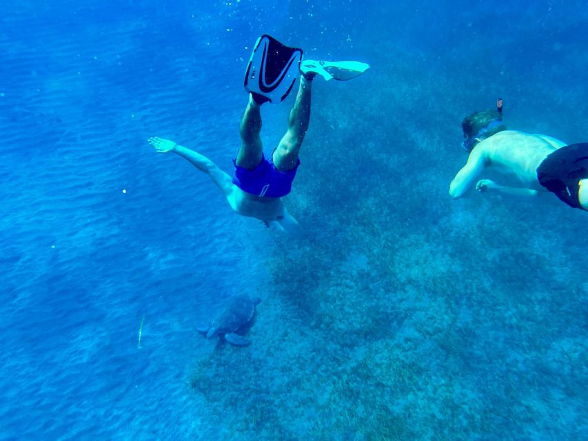 Abades: Guided Snorkeling Tour with Photos - Who This Tour Suits Best in Tenerife (and Who Should Skip It)