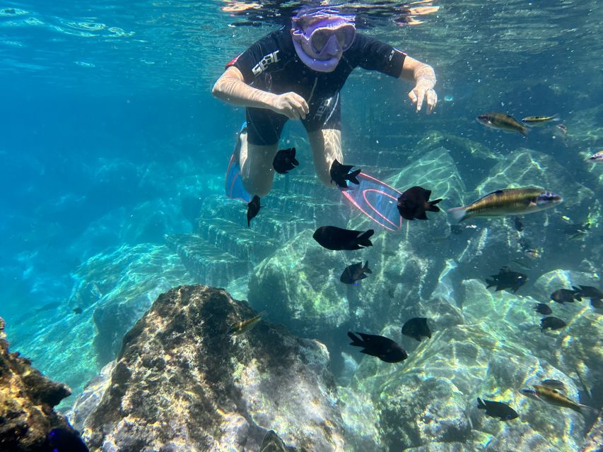 Abades: Guided Snorkeling Tour with Photos - Practical Tips You’ll Be Glad You Knew Before You Go