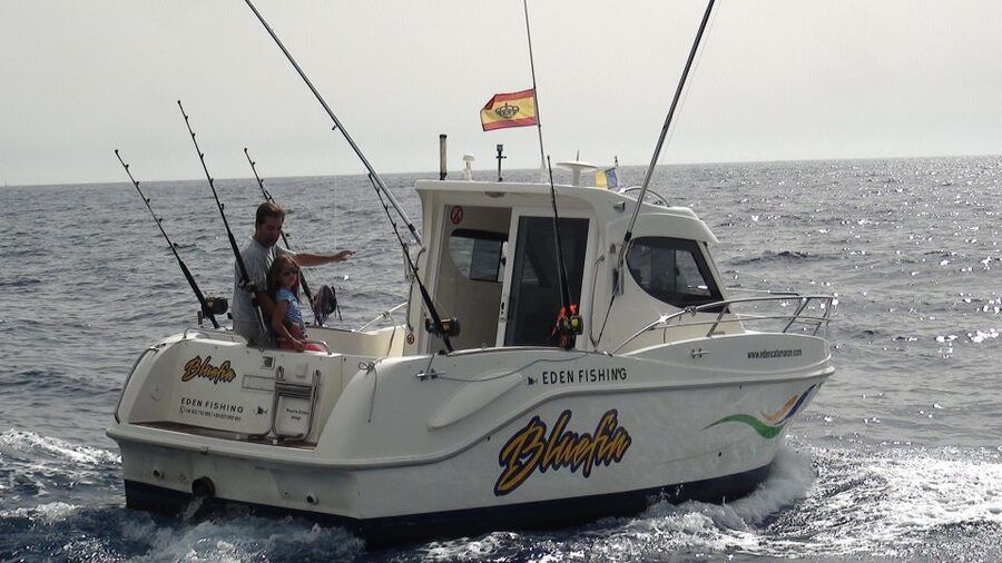 Adeje: 3.5–Hour Professional Fishing Experience - Key things I’d plan around before you fish in Adeje