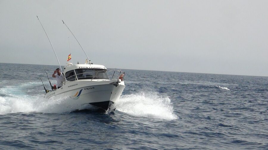 Adeje: 3.5–Hour Professional Fishing Experience - Puerto Colón (Gate 3) to open water: how the 3.5 hours get used